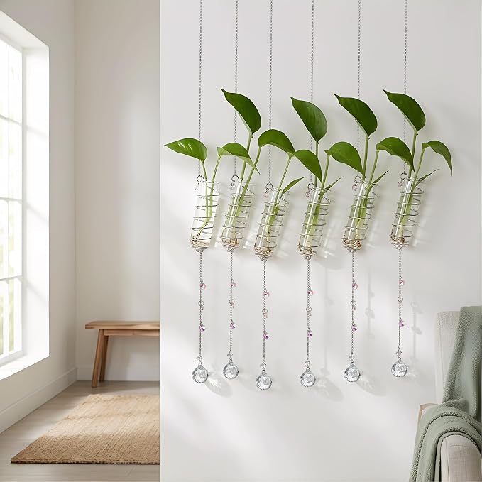 6Pcs Hanging Plant Propagation Station with Crystal Ball Prisms Suncatcher | Window Hanging Propagation Station and Cleaning Brush, Glass Plant Suncatcher for Indoor Wall Gifts for Plants Lovers(Silver)