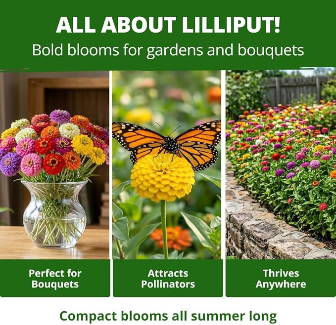 HOME GROWN Lilliput Mix Zinnia Seeds for Planting, 8450 Seeds (57g), Heirloom Non-GMO Double Dwarf Pompon Blooms for Containers, Borders, Cut Flowers & Pollinator Gardens (Zinnia elegans)