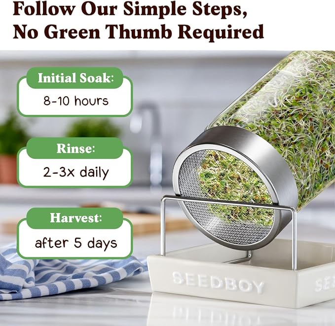 Seedboy Organic Non-GMO Sprouting Seeds, Immune System Booster - USA Grown Microgreens Mix with Broccoli, Purple Radish, Alfalfa - 8 oz Bag Makes 8 Quarts / 32 Servings (Immune System Booster Blend)