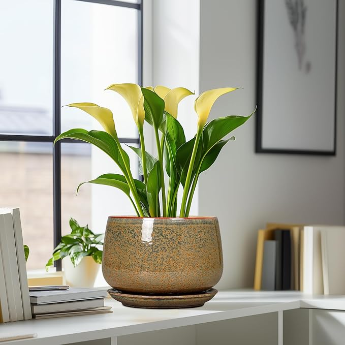 G EPGardening Ceramic Planters - 9 Inch Ceramic Pots for Plants Indoor Outdoor, Round Planter with Drainage and Saucer, Modern Indoor Flower Pots, House Room Decor, Gift for Women Men, Speckled Brown