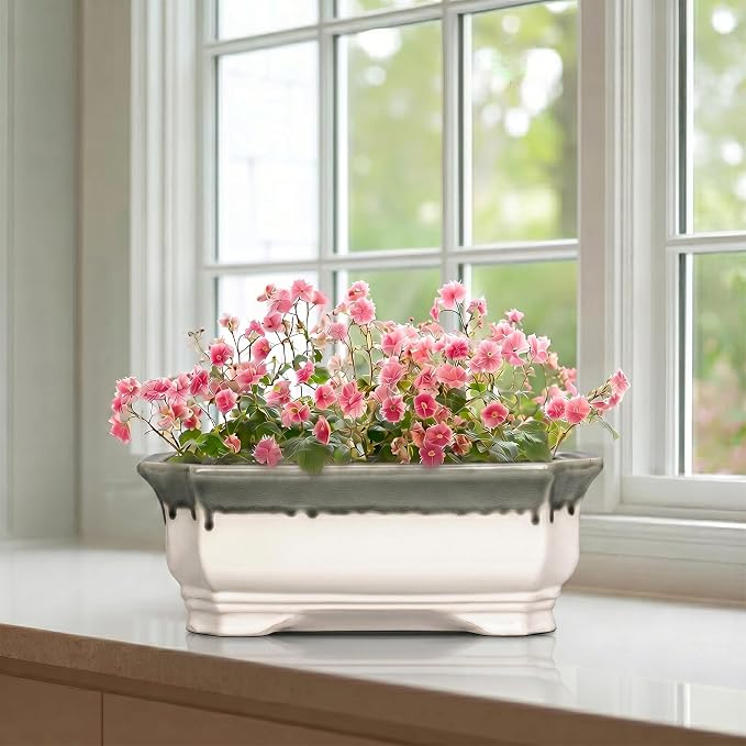 Ceramic Bonsai Pots - 11.6 Inch Succulent Planters for Indoor Outdoor Plants, Bonsai Tree Pots with Drainage Hole, Large Shallow Planter, Patio Decor, Women Men Gifts, Rectangular Beige-Grey