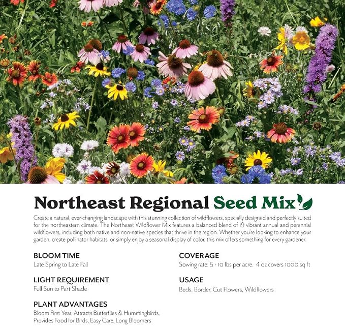 Grow Your Own Vibrant Annual and Perennial Wildflower Garden Seeds Mixture, Varieties for Pollinators and Spring Gardens - Northeast Regional Mix, 25 lbs