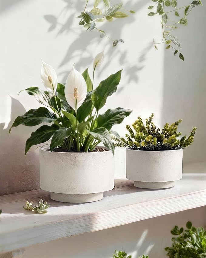 Succulent Pots, 8 Inch + 6 Inch Plant Pots with Drainage Hole, Indoor Outdoor Glazed Ceramic Planter, Set of 2 Modern Round Flower Pots for Plants, White