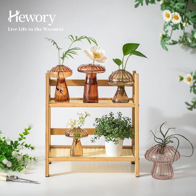 Hewory Glass Mushroom Propagation Stations: Set of 10 Unique Propagation Jars Glass Planter for Indoor Plants Home Decor - Brown Mushroom Vase Christmas Birthday Gifts for Plant Lovers Women Girls