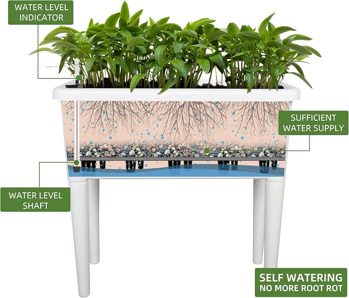 Dexceder 13.2 Gallon Self Watering Raised Garden Bed (White) | Ventilation Transparent Lid Greenhouse, Deepen Vegetable Flower Box Planter Pot with Removeble Legs & Water Level Indicator