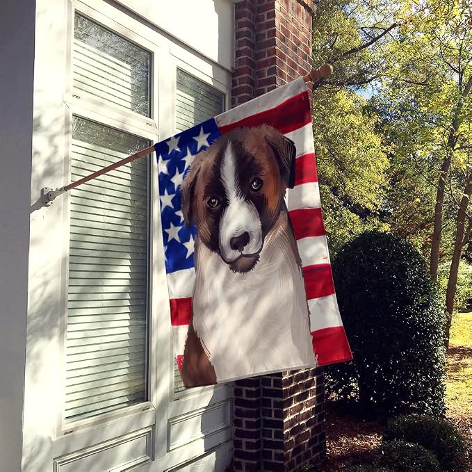 Caroline's Treasures CK6477CHF Cao de Gado Transmontano American Flag House Flag Large Porch Sleeve Pole Decorative Outside Yard Banner Artwork Wall Hanging, Polyester, House Size, Multicolor