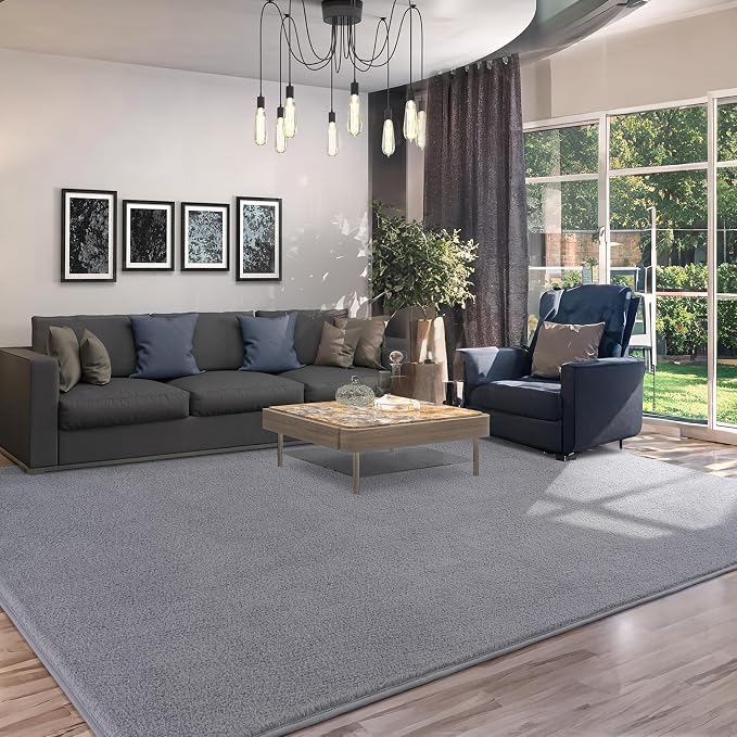 AROGAN 4x6 Area Rugs for Living Room Non Slip Dorm Bedroom Rug, Grey | Modern Area Rugs with Soft Memory Foam, Minimalist Washable Indoor Floor Carpet for Dining Room Office Kids Playroom Decor