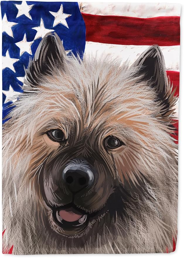 Caroline's Treasures CK6588CHF Keeshond American Flag House Flag Large Porch Sleeve Pole Decorative Outside Yard Banner Artwork Wall Hanging, Polyester, House Size, Multicolor