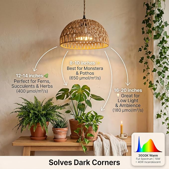 Boho Decorative Hanging Grow Light, Pendant Plant Light for Indoor Plants, Ceiling Grow Lamp with 24H Timer for Plant Corner Bedroom Living Room