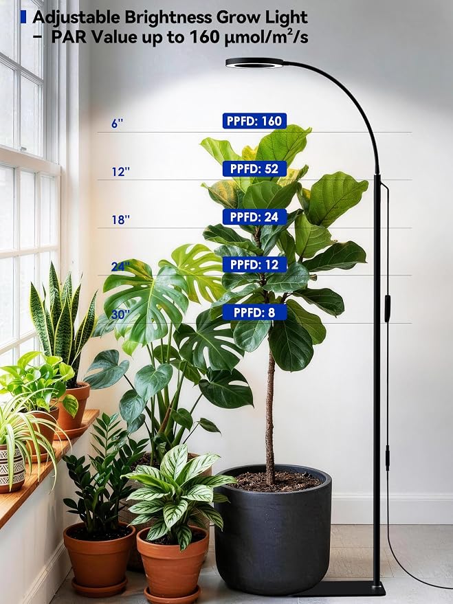 GLOWRIUM Grow Lights for Indoor Plants, Full Spectrum LED Grow Light Floor Lamp with Stand Adjustable Height and Angle, Black Plant Light with 3/9/12H Grow Light Timer (Black, Dual Heads)