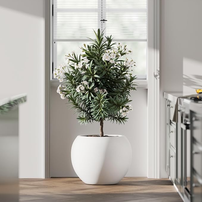 DTY Fiberstone Sphere Planter for Olive Trees, Large Round Globe Planter Indoor Outdoor, White, 70% Lighter Than Stone, Drainage Hole, 2 Coco Mats Included, Medium 16.1" D x 13.6" H