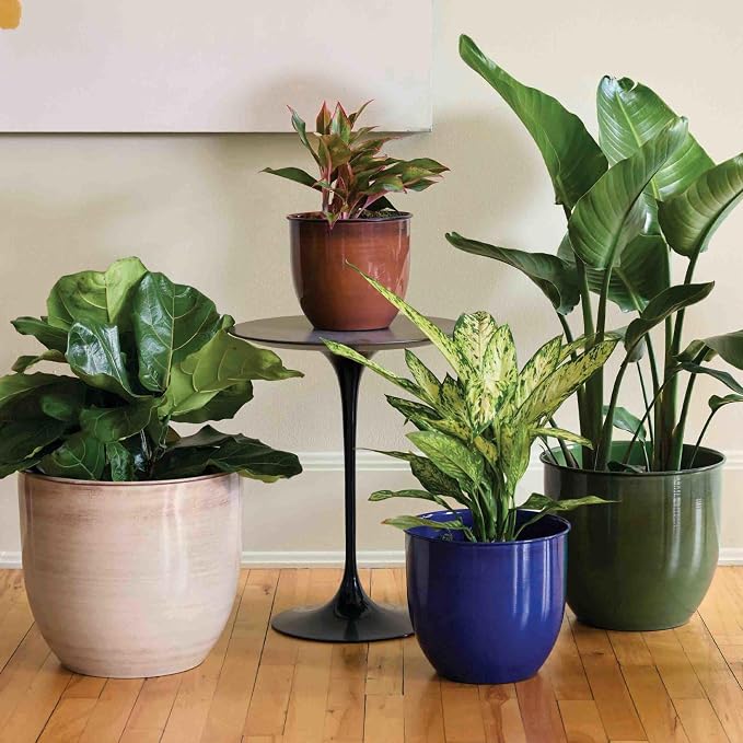 Bloem Canyon 8" Indoor Metal Cachepot - Glossy Decorative Planter with Powder-Coated Finish, Removable Drain Plug, Cobalt