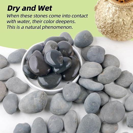 River Rocks Mexican Beach Pebbles (Large, 3LB)