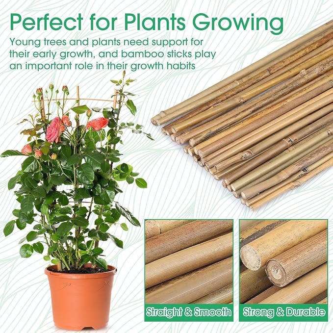 Suclain 30 Pcs Bamboo Plant Stakes Natural Garden Support Sticks for Climbing Plants Sturdy Bamboo Garden Stakes for Tomato, Beans, Flowers and Potted Plants, Vegetables, Indoor & Outdoor (1.35 ft)