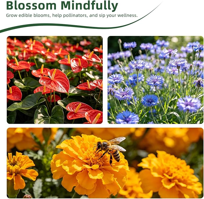 36 Edible Flower Seeds Variety Pack, 16,570+ Premium Garden Seed Vault Kit, Pollinator Friendly, Indoor & Outdoor Year Round Planting – Nasturtium, Lavender, Borage, Calendula, Chamomile & More