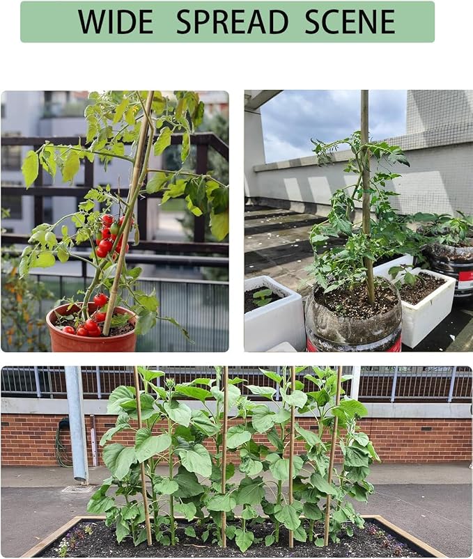 60 Pack Bamboo Stakes for Plant 5 Feet (58inch) with Twist Ties Bamboo Sticks Plant Support Garden Stakes Poles for Tomatoes Cucumber Grapes Pole Beans Trees Potted Dahlia Flowers