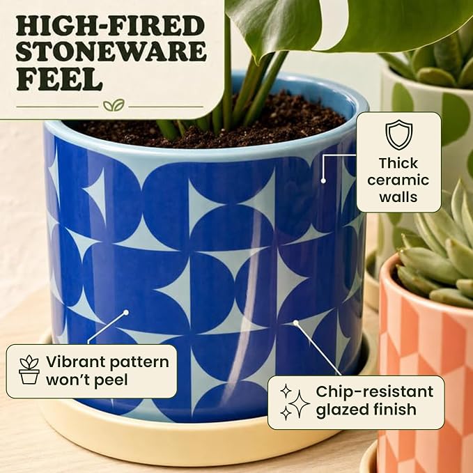 Original Earthlings Ceramic Plant Pots - Flower Pots with Drainage Hole & Saucer, Handmade Flower Vase, Colorful Decorative Planters for Indoor Plants, Succulent, Home Decor - Set of 3 (5", 4", 3.5")
