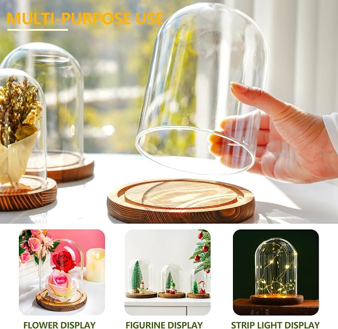 ZEERSHEE Glass Cloche Display Dome Decorative Glass Display Bell Jar with Wooden Base for Home Party Wedding Decor