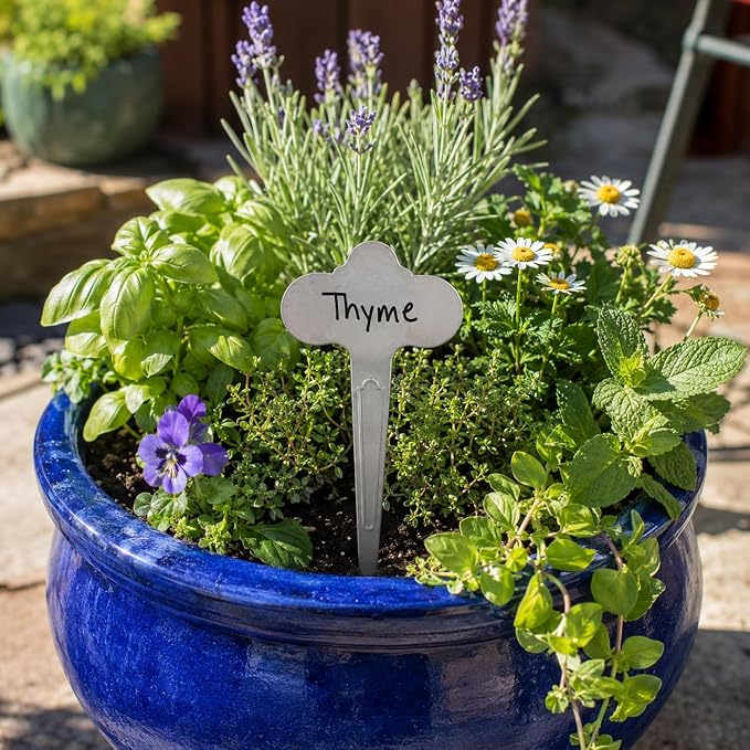 60 Pack Metal Plant Labels 6-1/2" x 3-1/2" Stainless Steel Outdoor Reusable Nursery Plant Name Tags Waterproof Garden Seed Labels Makers for Flowers Vegetable Pots Seedlings Herbs