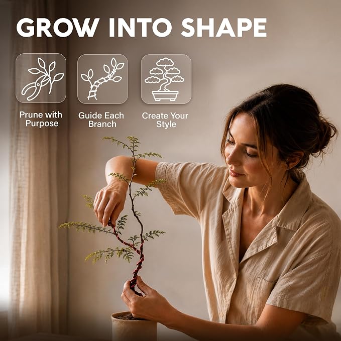 Avergo Bonsai Starter Kit – Growing Jacaranda Bonzai Tree | Complete Indoor Tree Kit for Growing Plants with Tools & Planter – Gardening Gifts for Mother, Women & Men