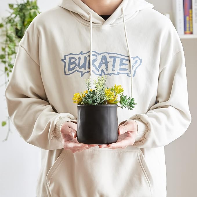 Artificial Succulents in Ceramic Pots 2 Pcs Large Fake Plants Matte Black Decor, for Desk, Bedroom, Living Room, Bathroom, Office, Bookshelf, Home Faux Decoration
