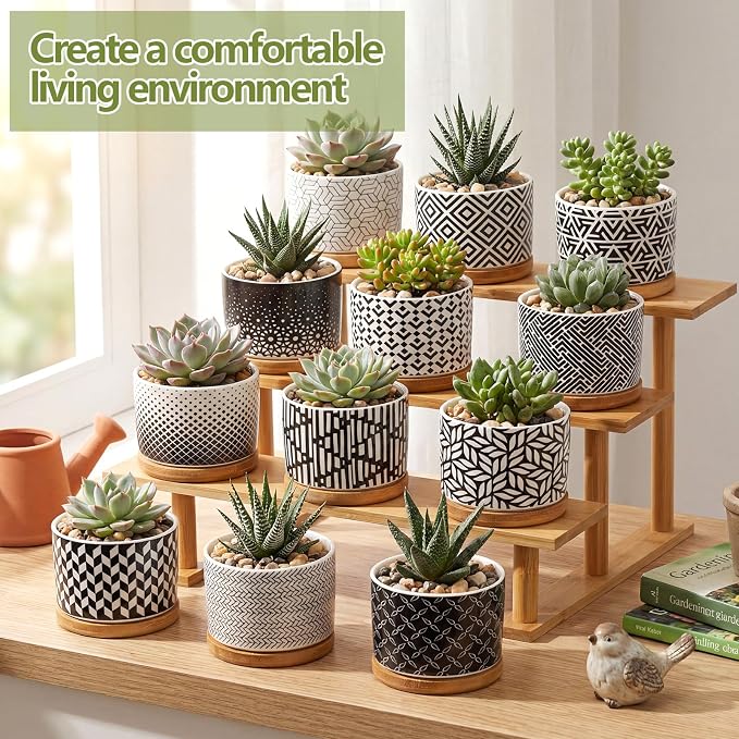 Threehoney 12 Pack 3.14 Inch Ceramic Succulent Pots Geometric Pattern Small Succulent Plant Pots with Drainage Hole and Bamboo Trays Mini Flower Cylinder Pot for Small Plant Cactus Home Office Decor