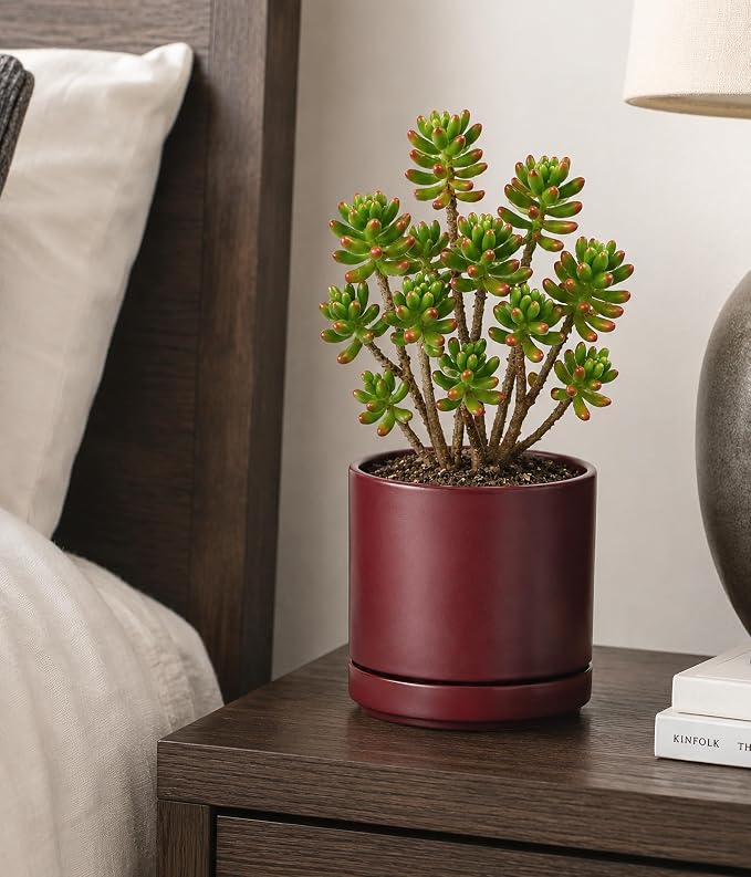 D'vine Dev 6 Inch Ceramic Planter Pot with Drainage Hole and Saucer, Indoor Cylinder Round Planter Pot, Cordovan, 94-O-C-4