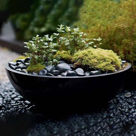StoneCreek 36 LBS River Rocks(3 x 12 LBS Bags), Large Size, Decorative Garden Stones for Plant Landscaping, Polished Gravel Filler Pebbles for Home Decoration, Vases, Succulents(Black Pebbles)