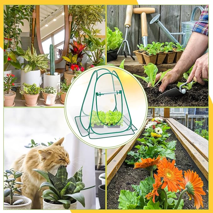Pop Up Greenhouse Cover, Mini Greenhouse PVC Gardening Plant 2-Pack, Portable Small Green House for Indoor Outdoor, Sunshine Room Backyard Flow