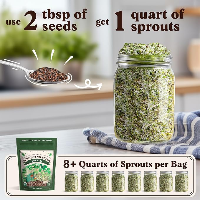 Seedboy Organic Non-GMO Broccoli Seeds for Sprouting - USA Grown Microgreens Sprouting Seeds - 8 oz Bag Makes 8 Quarts / 32 Servings (Broccoli)