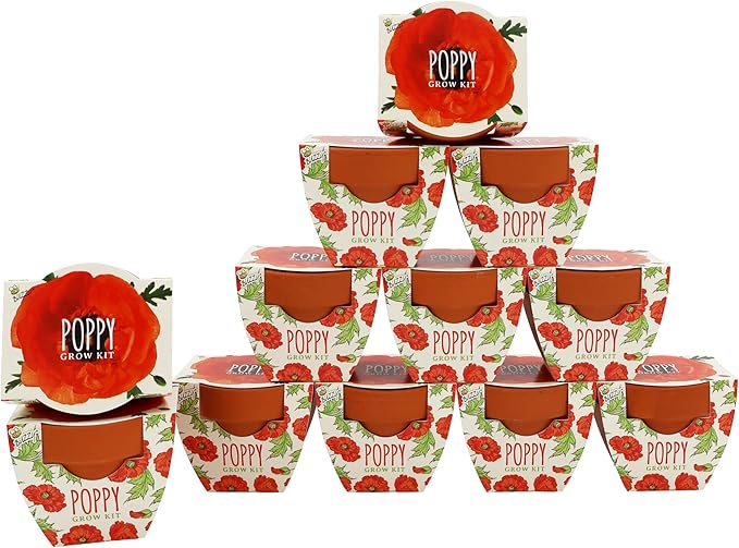 BUZZY Seeds Poppy Grow Kit 12-Pack - Mini Terracotta Pot Grow Set - Complete Indoor/Outdoor Gardening Kit with Seeds, Coconut Husk Growing Medium & Genuine Pots - 100% Grow Guarantee