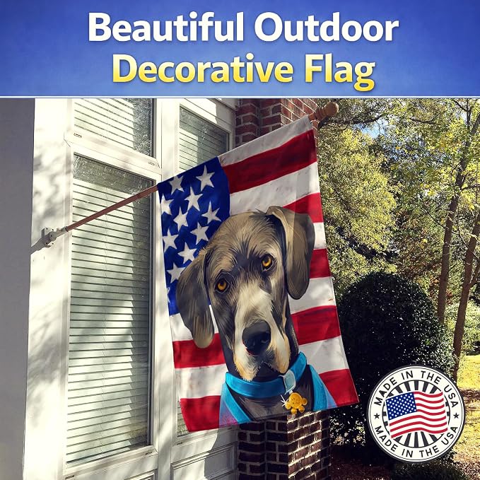 Caroline's Treasures CK6546CHF Great Dane Dog American Flag House Flag Large Porch Sleeve Pole Decorative Outside Yard Banner Artwork Wall Hanging, Polyester, House Size, Multicolor
