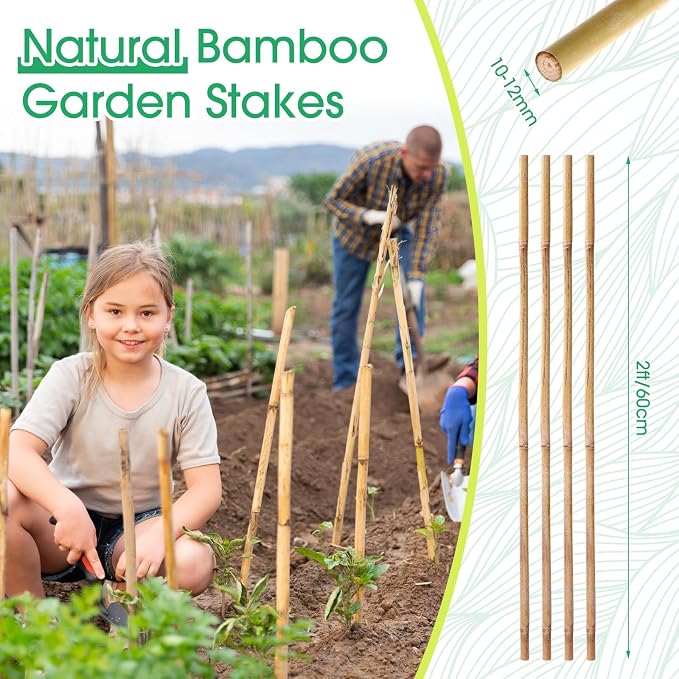 Suclain 60 Pcs Bamboo Plant Stakes Natural Garden Support Sticks for Climbing Plants Sturdy Bamboo Garden Stakes for Tomato, Beans, Flowers and Potted Plants, Vegetables, Indoor & Outdoor (2 ft)