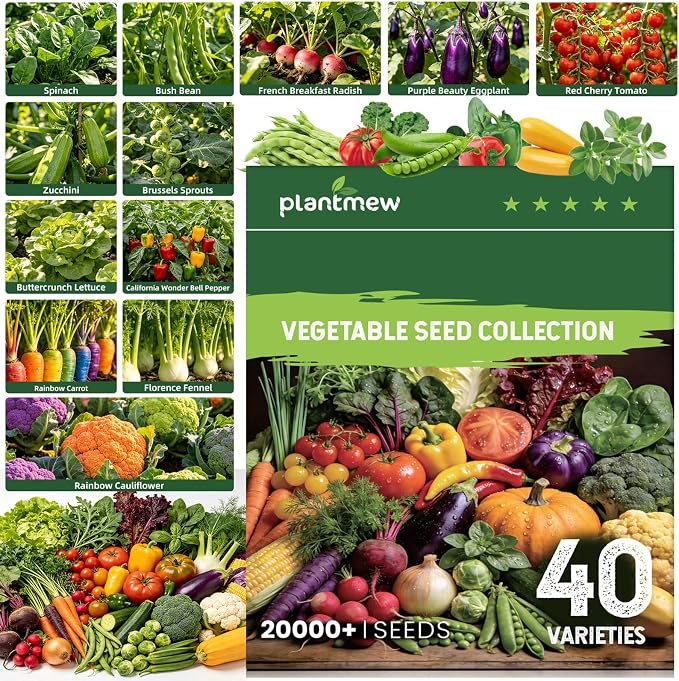 40 Vegetable Seeds Variety Pack, 20,000+ Garden Seed Vault Kit with Mini Planting Tools, Easy to Grow for Hydroponic, Indoor & Outdoor Year-Round Home Gardening
