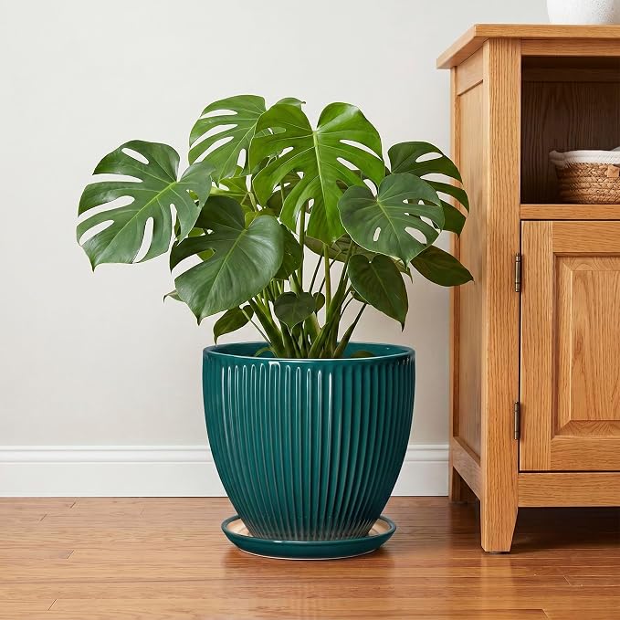 10 Inch Flower Pot, Round Ceramic Planters for Indoor Plants, Decorative Plant Pots with Drainage Hole and Saucer, Modern Large Planter, Office Decor, House Warming Gifts, Blackish Green