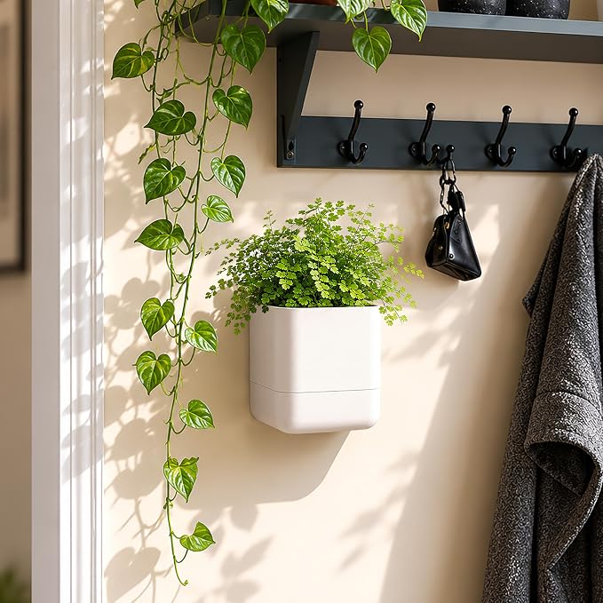 Phoenix Vine 4.5 Inch Wall Mounted Self-Watering Planter Pot for Indoor Houseplants and Herbs | Hanging Planter for Window Sills, Bathroom Walls, Home & Office Décor, Oatmeal, Set of 4, 01-B-G-4