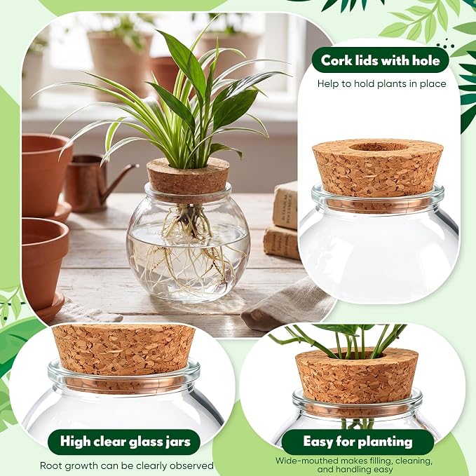 12 Pack Glass Plant Propagation Stations, Hydroponic Vases Tabletop Plant Terrarium Jar for Indoor Flower Arrangements Glass Planter Kitchen Office Decoration Gifts (Spherical)