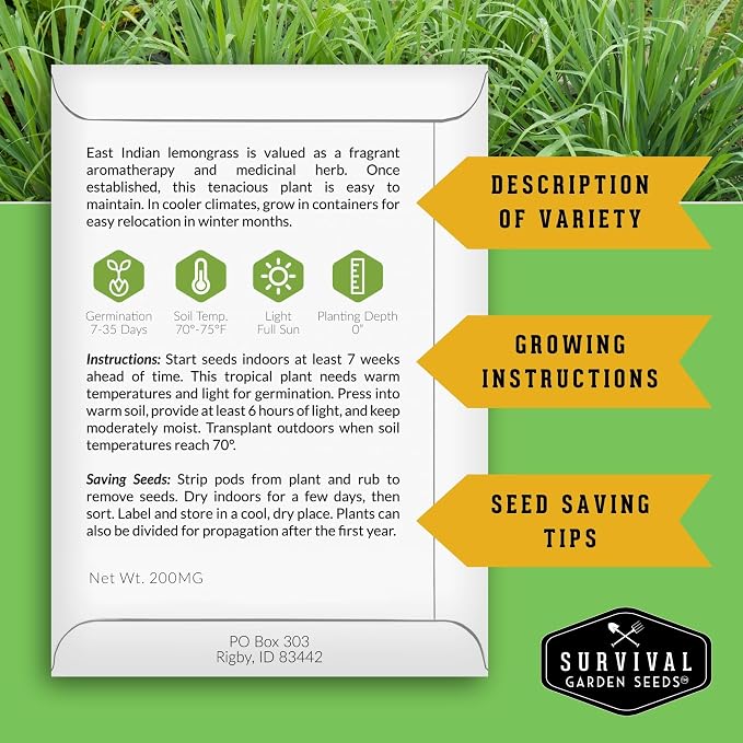 Lemongrass Seeds for Planting - Heirloom Asian Lemon Grass Seed - Fragrant Citrus Herb for Tea - Aromatic Garden Plant - Heirloom Non-GMO - Survival Garden Seeds (1 Pack)