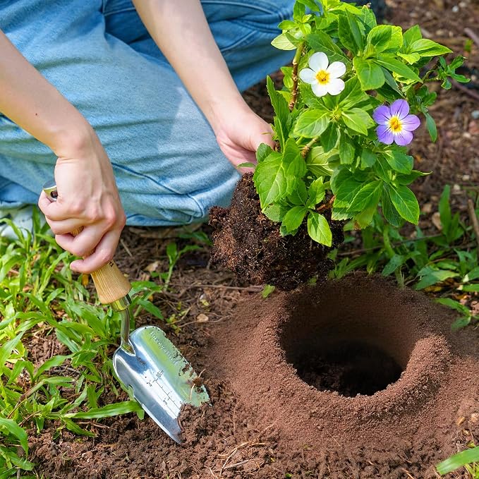 Berry&Bird Weeding Trowel, Multi- Use Hand Shovel with Serrated Blade Stainless Steel Garden Trowel Plus Size Potting Trowel with Wooden Handle for Transplanting, Digging, Measuring, Cutting Roots