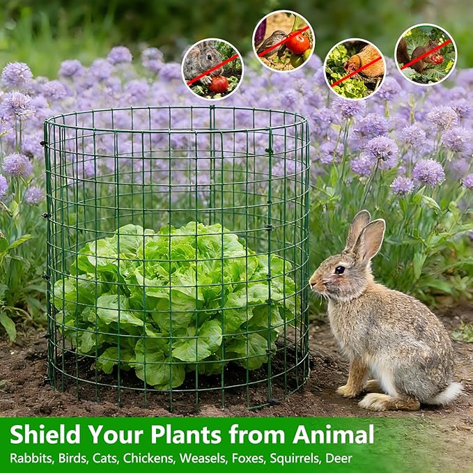 6 Pack 12x14 Inch Plant Protector from Animals, Wire Plant Cages Mesh Garden Plant Protector, Sturdy Wire Cloche Plant Protectors for Keeping Animals Bunny Chicken Squirrels Out