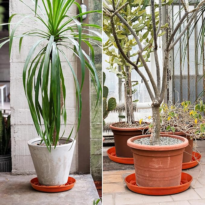 15 Pack Plant Trays for Pots 1.5" Deep Plant Saucers, Heavy Duty 8" 10" 12 inch Plant Tray Bulk Thickened Plant Plates to Catch Water, Durable Plant Saucer Flower Pot Accessories