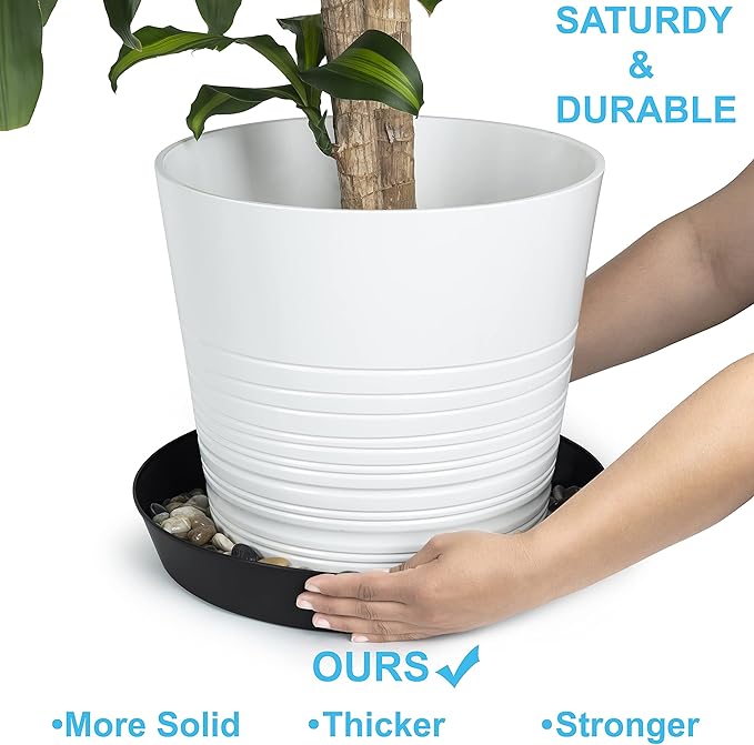 8 Inch (6.3 Inch Base) Plant Saucer, Black, Case of 5 | Polypropylene, Heavy Duty Indoor/Outdoor, Drip Pan & Tray, Collects Excess Water, Made in USA