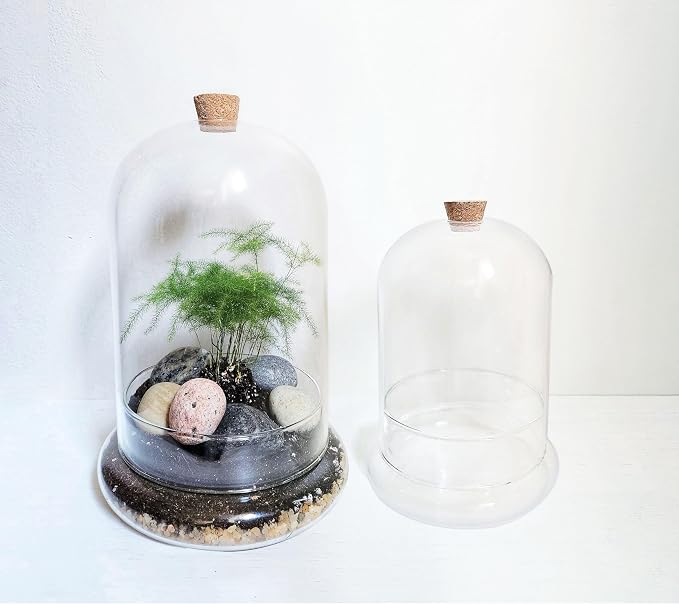 Handblown 7" Glass Terrarium with Opening for Air Flow & Cork Stopper Cloche Style Glass Dome Vivarium Display Case (Small)