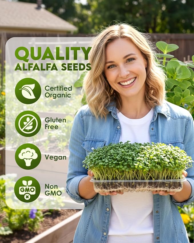 Nature Jims Sprouts Alfalfa Seeds – Non-GMO Organic Sprout for Growing & Planting – Premium Resealable Bag for Fresh Homegrown Sprouting Seeds – Rich in Nutrients, Vitamins, Fiber & Minerals – 16oz