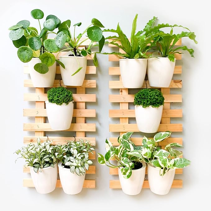LáLáGreen Wall Planters for Indoor Plants - 10 Pack, 4 Inch Self Watering Planters and Pots, White Wall Mount Planter Plant Holder, Modern Hydroponic Wall Pots Vertical Living Plant Garden Decor