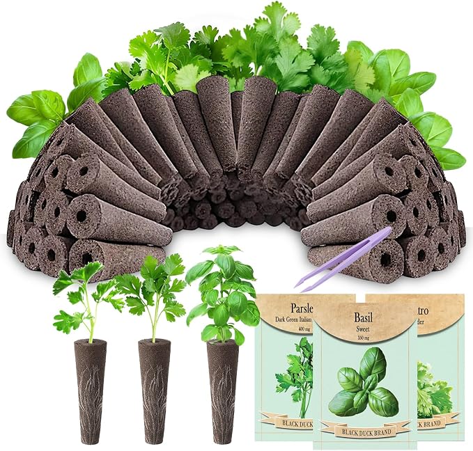 Grow Sponges, 60 Pack Herb Hydroponics Seed Pods Replacement Growing Media Fast Rooter for AeroGarden, iDoo, Ahopegarden Come with Varity Seeds of Basil, Cilantro & Parsley
