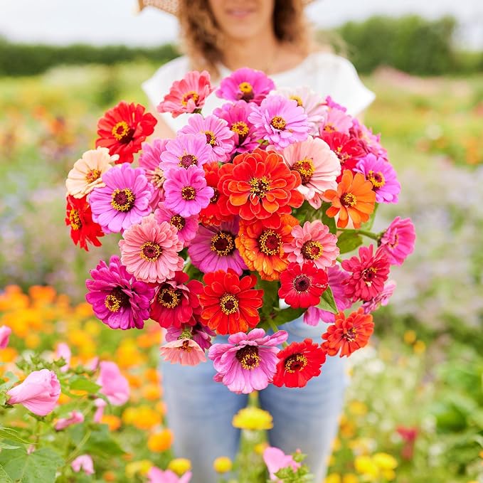 Eden Brothers Zinnia Seeds - Dahlia Flowered Mix, Non-GMO Seeds for Planting, 1 oz | Low-Maintenance Flower Seeds, Plant During Spring, Zones 3, 4, 5, 6, 7, 8, 9, 10