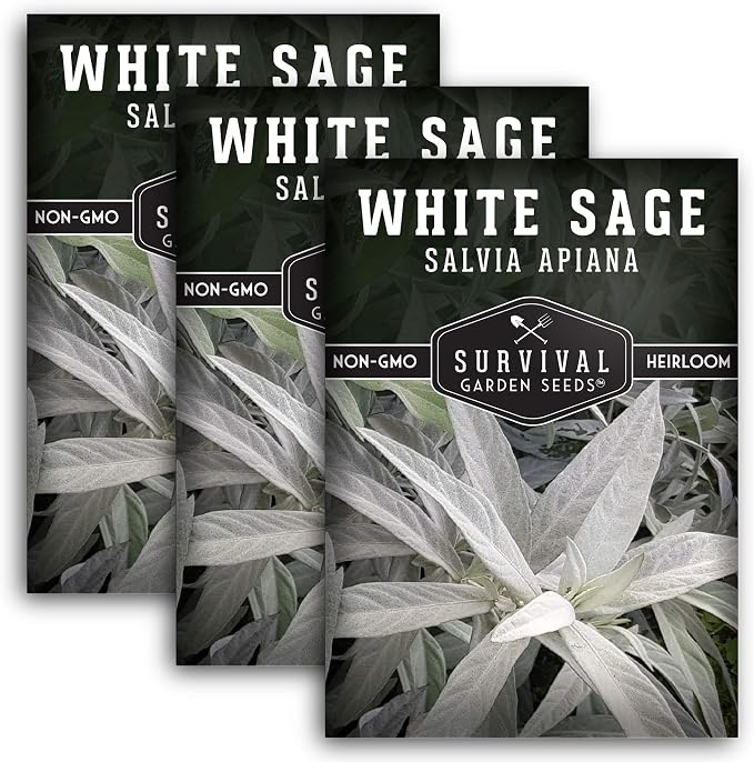 Survival Garden Seeds White Sage Seeds for Planting, 3 Packs | Salvia Apiana Seed, Native California Plant for Warm Dry Gardens & Smudging Herbs - Open-Pollinated Variety