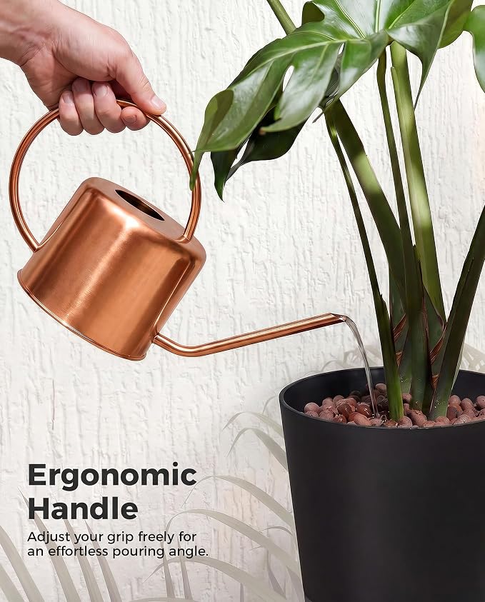 Bamworld Metal Watering Can Indoor Plants 1L 33oz Gold Stainless Steel Watering Can with Long Spout for House Potted Plants Succulents Bonsai Garden Flowers