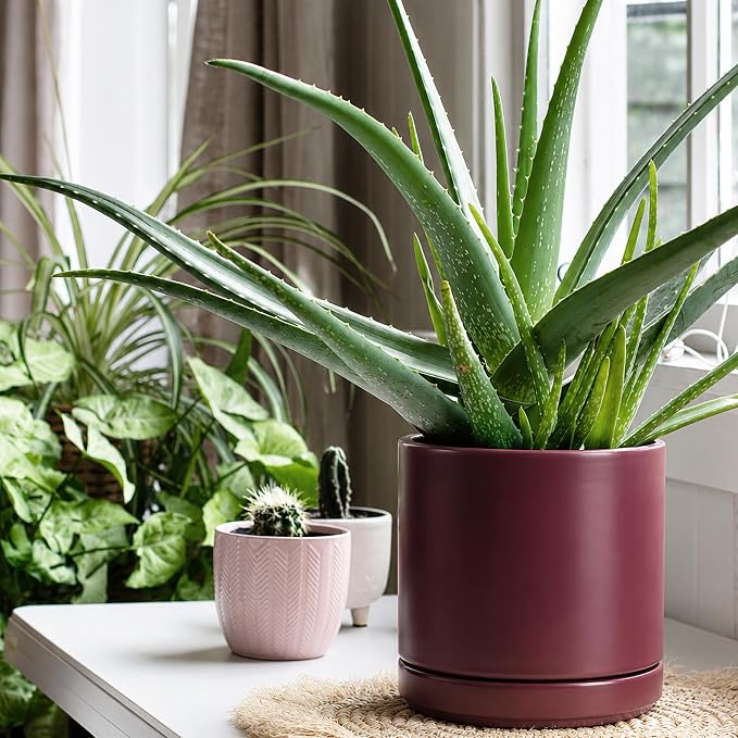 D'vine Dev 8 Inch Ceramic Planter Pot with Drainage Hole and Saucer, Indoor Cylinder Round Planter Pot, Cordovan, 94-O-D-4